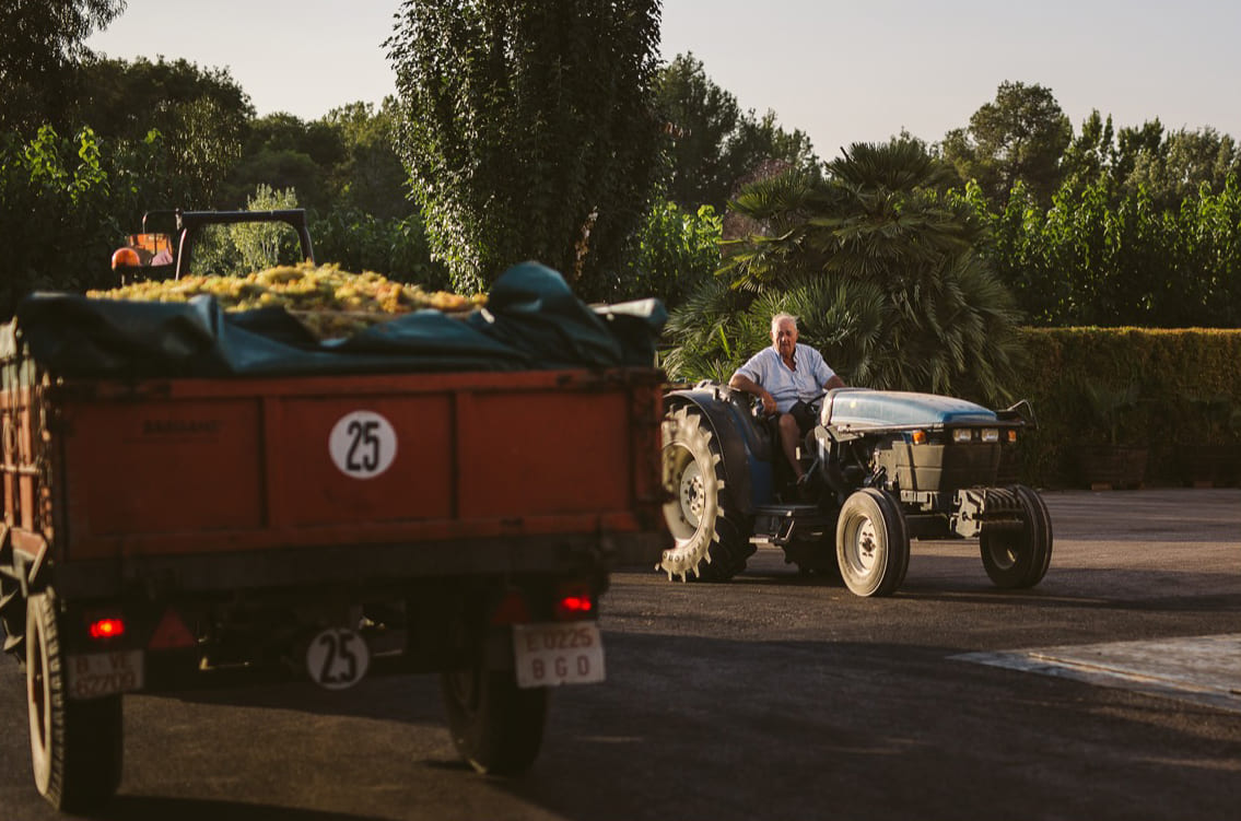 Imagen de un señor en un tractor observando la cosecha que acaba de recoger